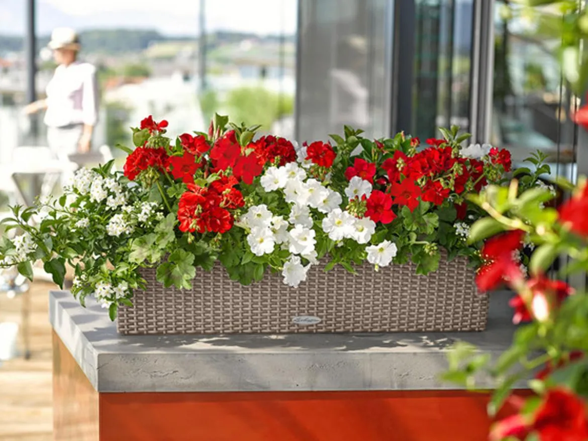 LECHUZA® Kunststoff-Kasten Balconera Cottage, rechteckig