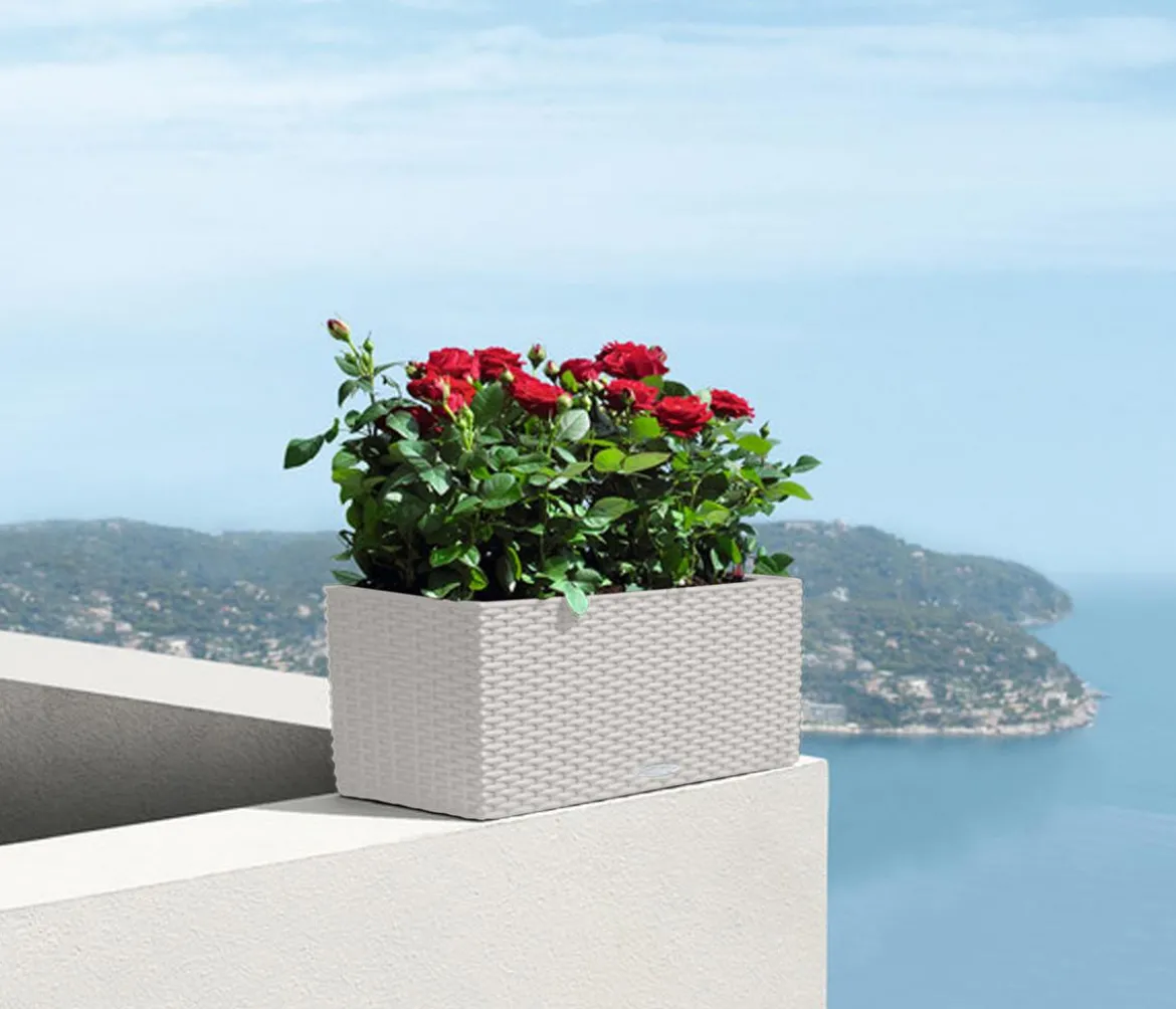 LECHUZA® Kunststoff-Kasten Balconera Cottage, rechteckig