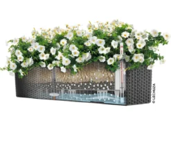 LECHUZA® Kunststoff-Kasten Balconera Cottage, rechteckig