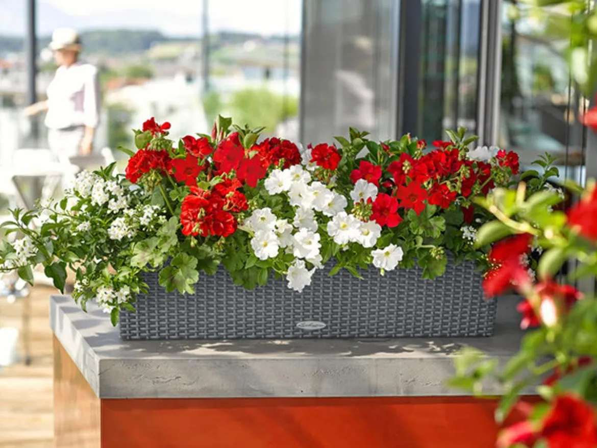 LECHUZA® Kunststoff-Kasten Balconera Cottage, rechteckig