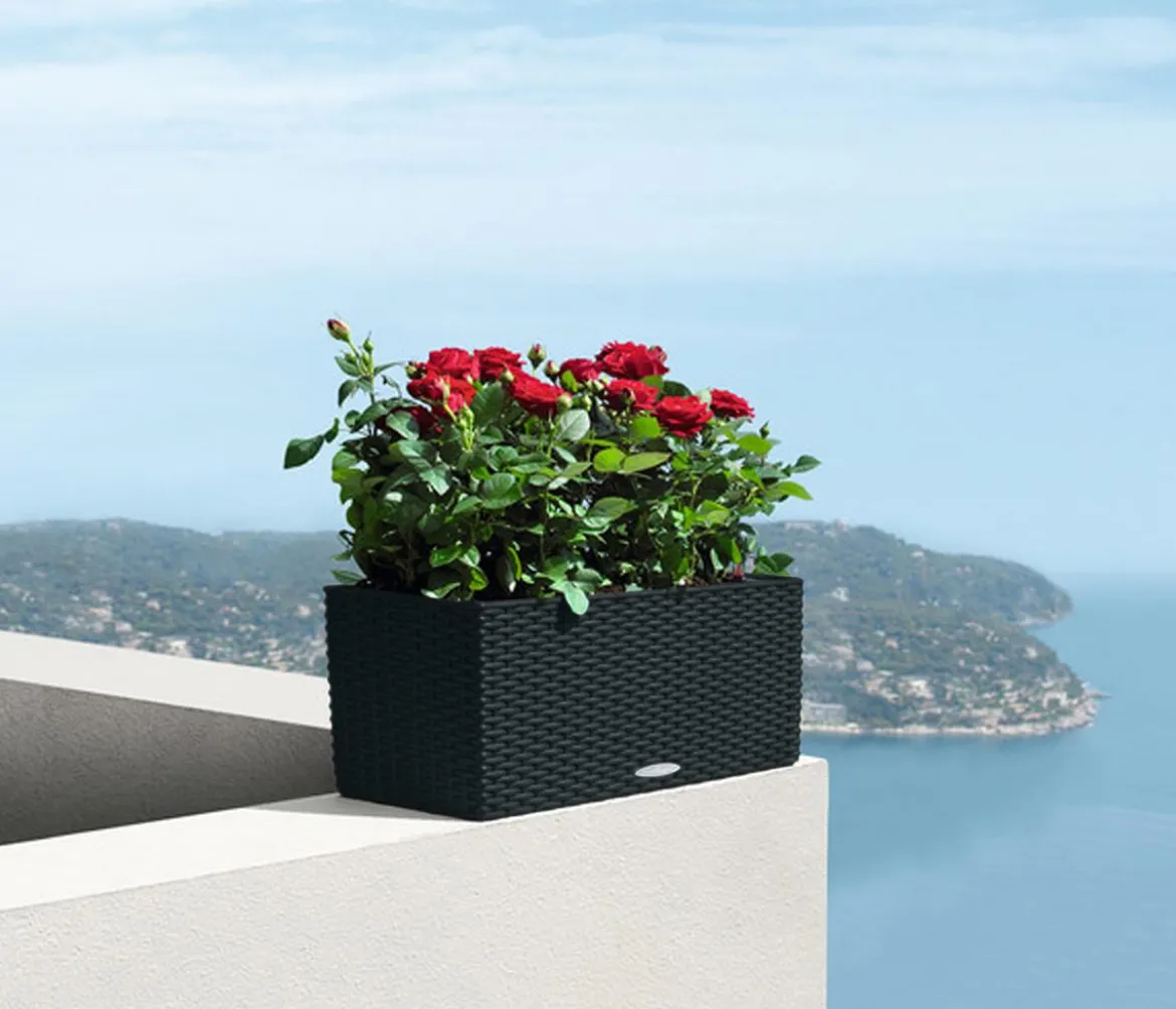 LECHUZA® Kunststoff-Kasten Balconera Cottage, rechteckig