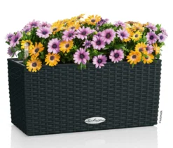LECHUZA® Kunststoff-Kasten Balconera Cottage, rechteckig