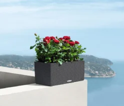 LECHUZA® Kunststoff-Kasten Balconera Cottage, rechteckig