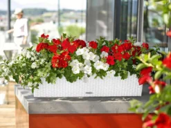 LECHUZA® Kunststoff-Kasten Balconera Cottage, rechteckig