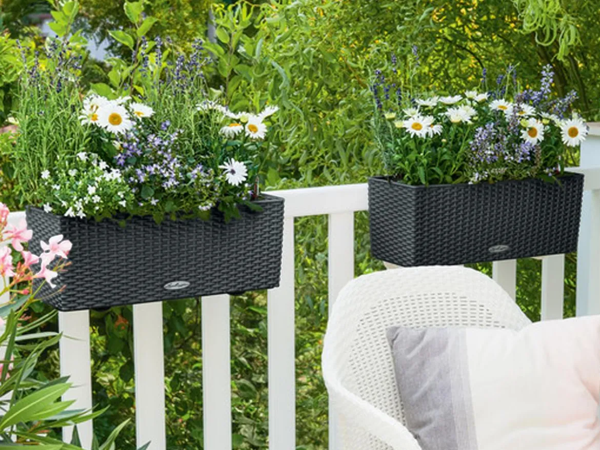 LECHUZA® Kunststoff-Kasten Balconera Cottage, rechteckig