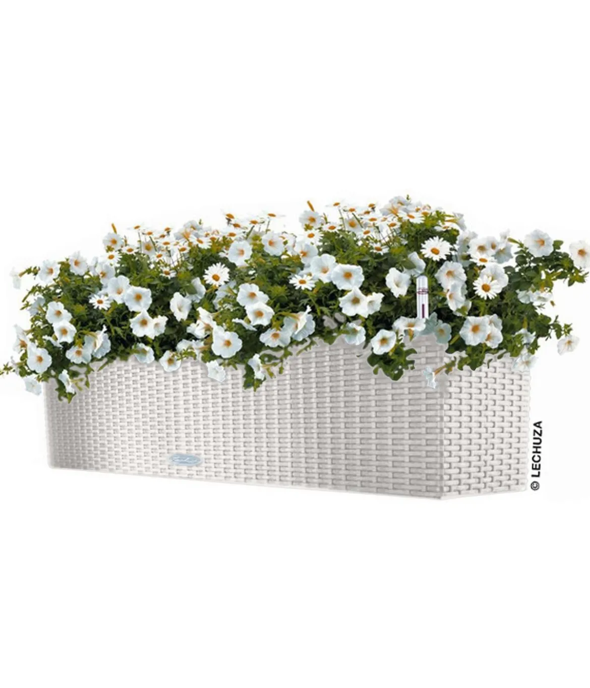 LECHUZA® Kunststoff-Kasten Balconera Cottage, rechteckig