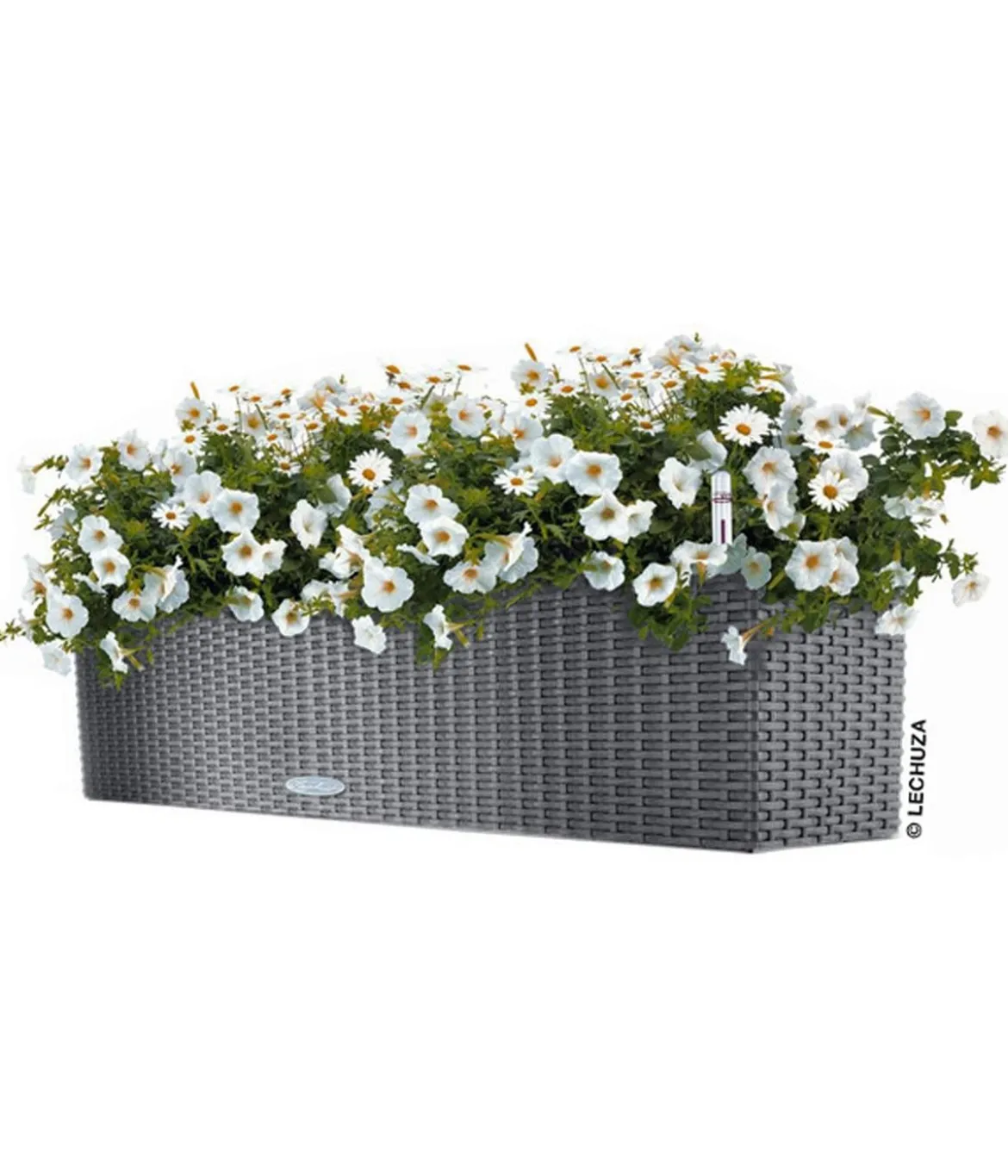 LECHUZA® Kunststoff-Kasten Balconera Cottage, rechteckig