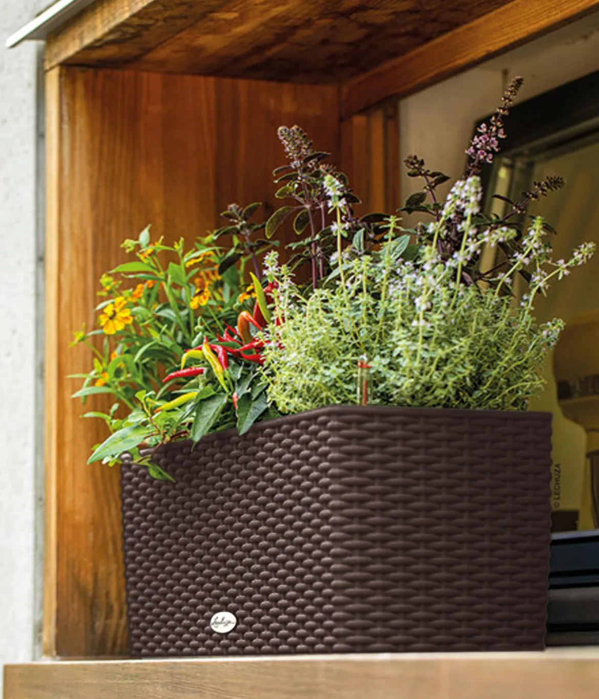 LECHUZA® Kunststoff-Kasten Balconera Cottage, rechteckig