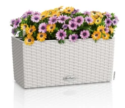 LECHUZA® Kunststoff-Kasten Balconera Cottage, rechteckig