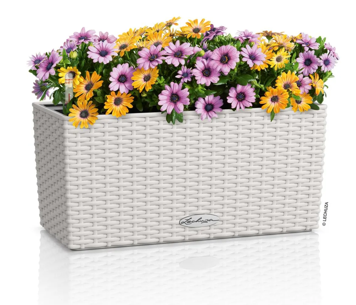 LECHUZA® Kunststoff-Kasten Balconera Cottage, rechteckig
