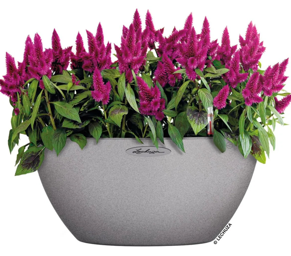 LECHUZA® Kunststoff-Schale 'Cubeto Stone', rund