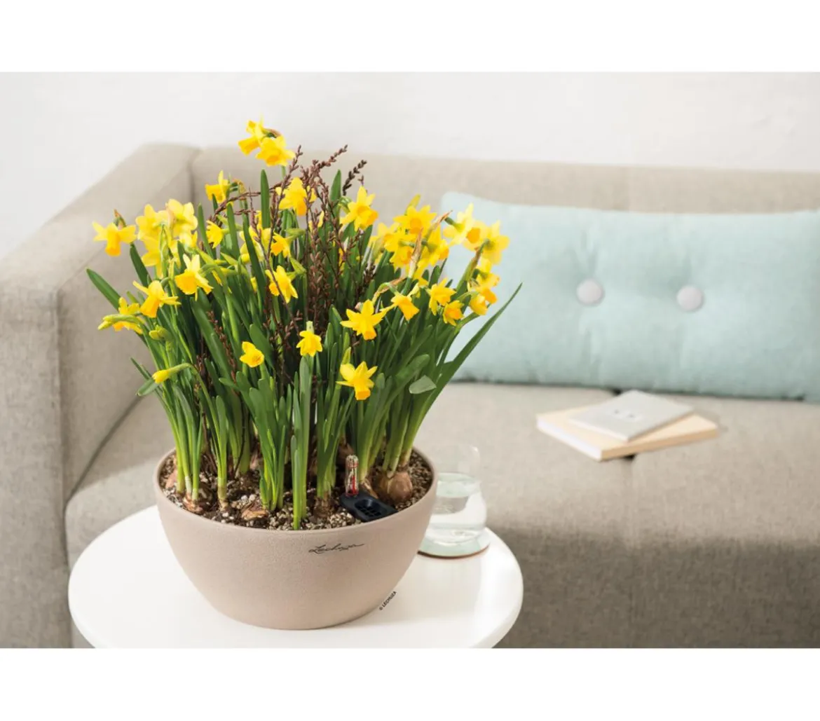LECHUZA® Kunststoff-Schale 'Cubeto Stone', rund