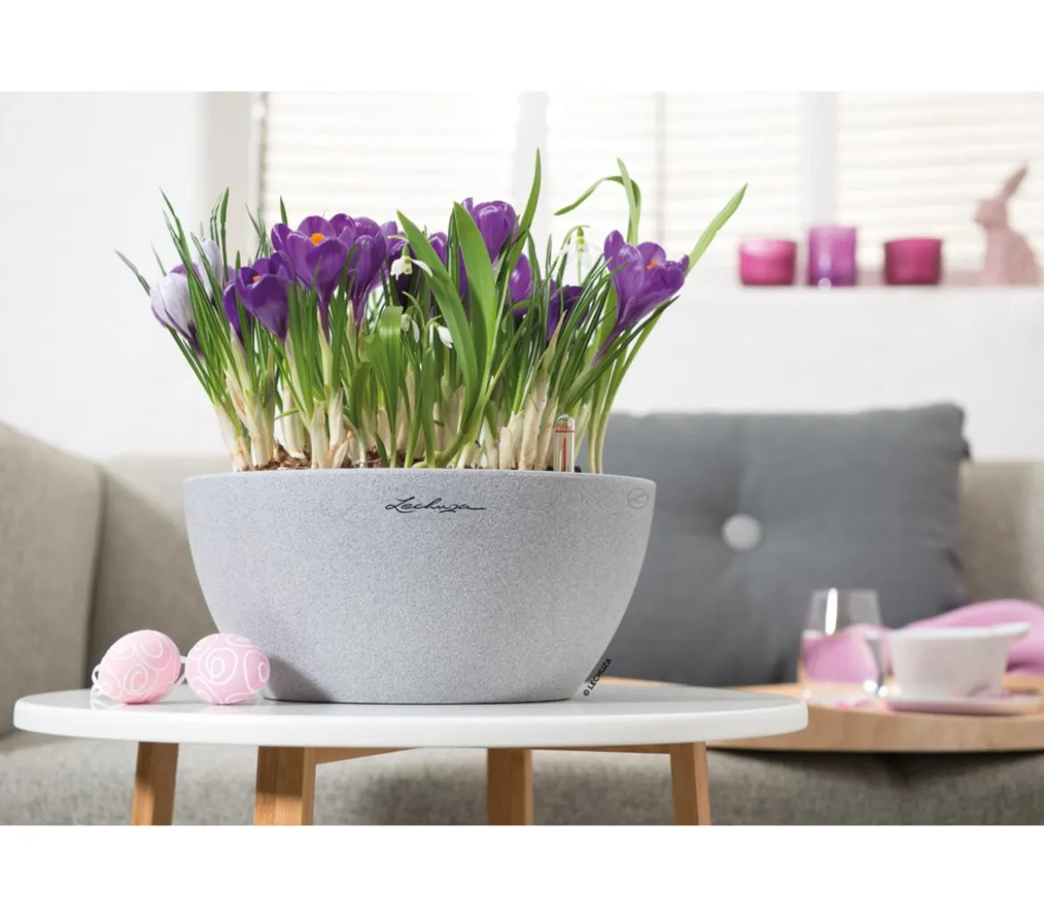 LECHUZA® Kunststoff-Schale 'Cubeto Stone', rund