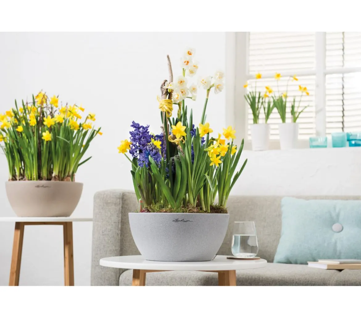 LECHUZA® Kunststoff-Schale 'Cubeto Stone', rund