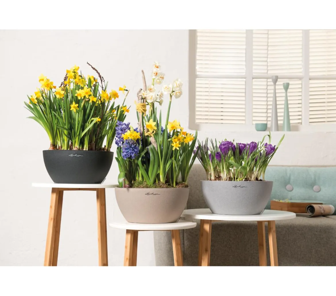 LECHUZA® Kunststoff-Schale 'Cubeto Stone', rund