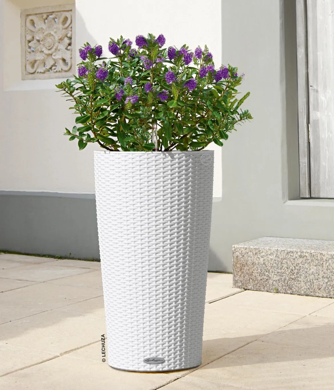 LECHUZA® Kunststoff-Säule Cilindro Cottage inkl. Pflanzeinsatz, konisch