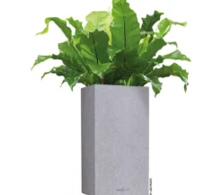 LECHUZA® Kunststoff-Topf Canto Stone, quadratisch