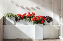 LECHUZA® Kunststoff-Topf Canto Stone, quadratisch