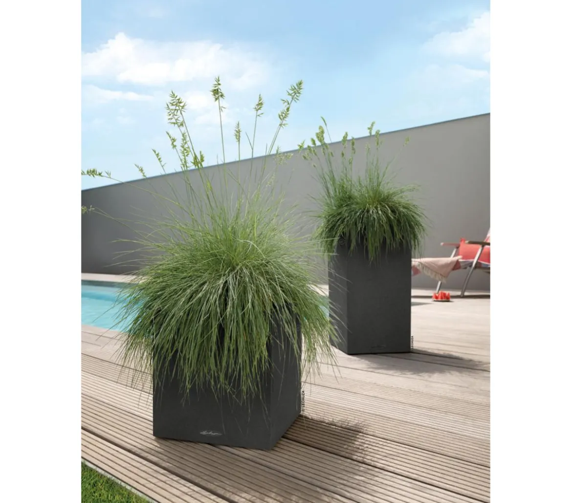 LECHUZA® Kunststoff-Topf Canto Stone, quadratisch
