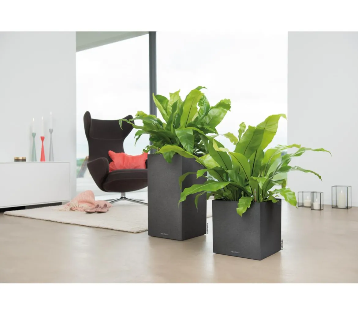 LECHUZA® Kunststoff-Topf Canto Stone, quadratisch