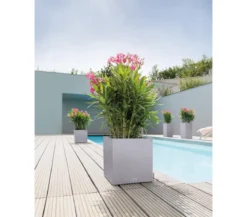LECHUZA® Kunststoff-Topf Canto Stone, quadratisch