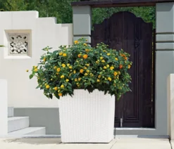 LECHUZA® Kunststoff-Topf Cube Cottage, quadratisch