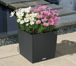 LECHUZA® Kunststoff-Topf Cube Cottage, quadratisch