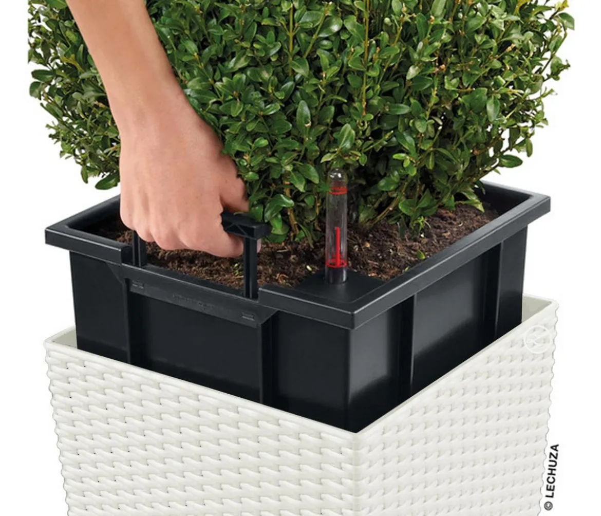 LECHUZA® Kunststoff-Topf Cube Cottage, quadratisch