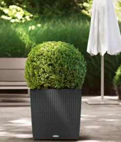 LECHUZA® Kunststoff-Topf Cube Cottage, quadratisch