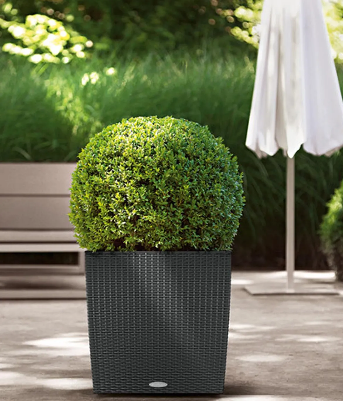 LECHUZA® Kunststoff-Topf Cube Cottage, quadratisch