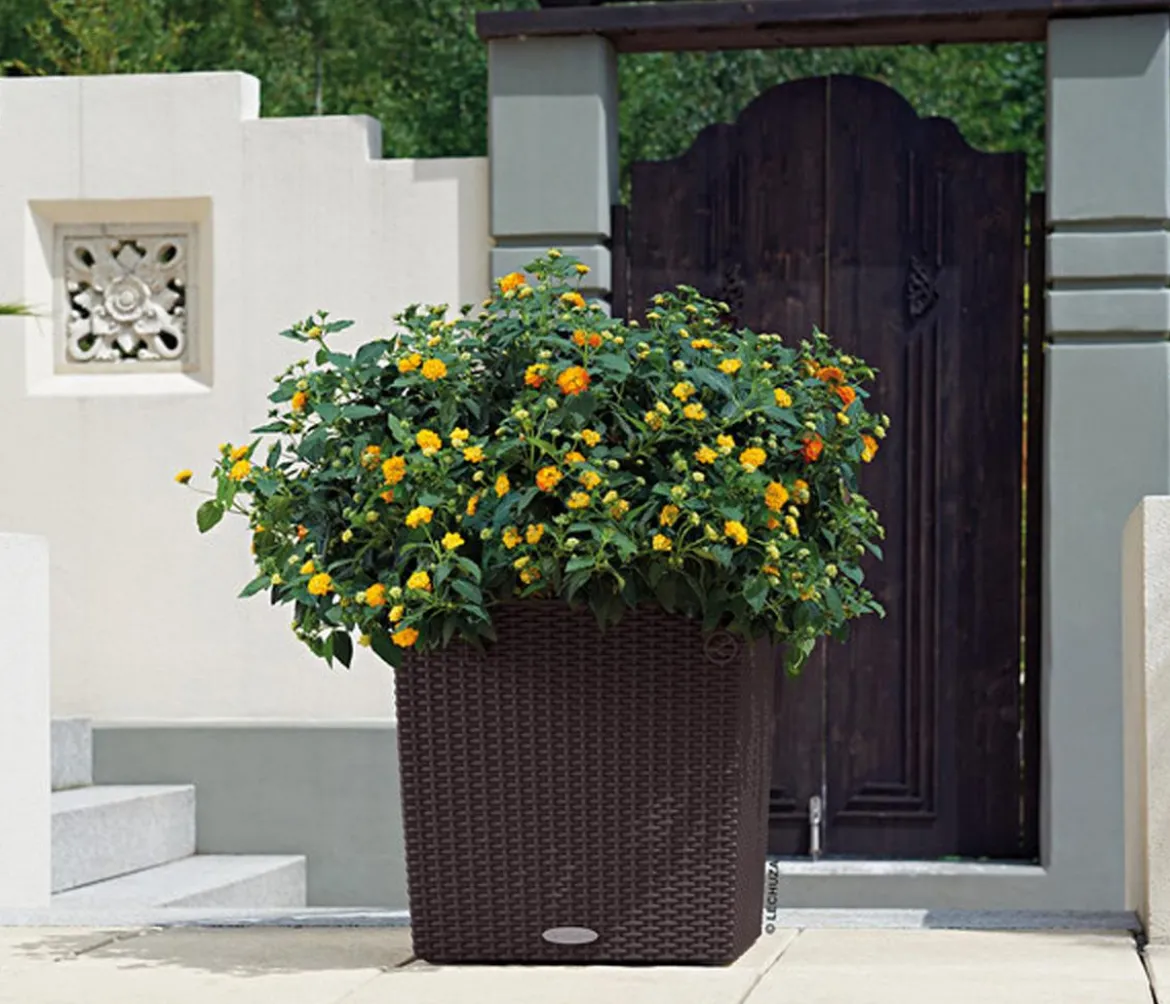 LECHUZA® Kunststoff-Topf Cube Cottage, quadratisch