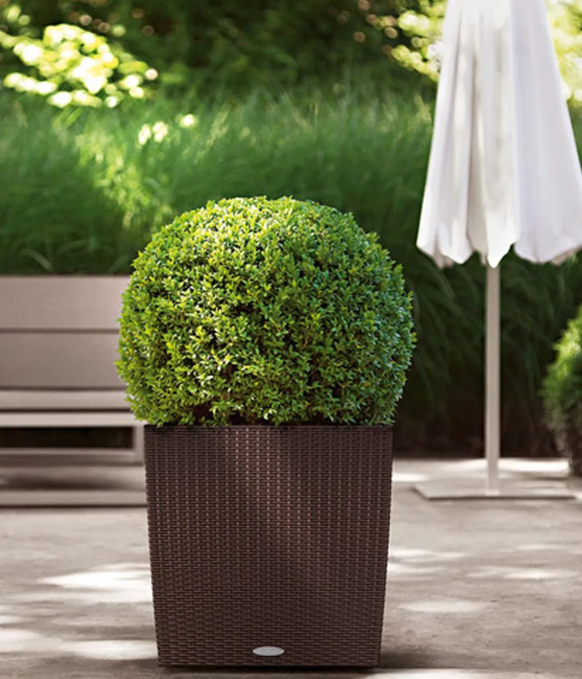 LECHUZA® Kunststoff-Topf Cube Cottage, quadratisch
