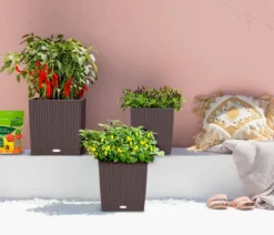 LECHUZA® Kunststoff-Topf Cube Cottage, quadratisch
