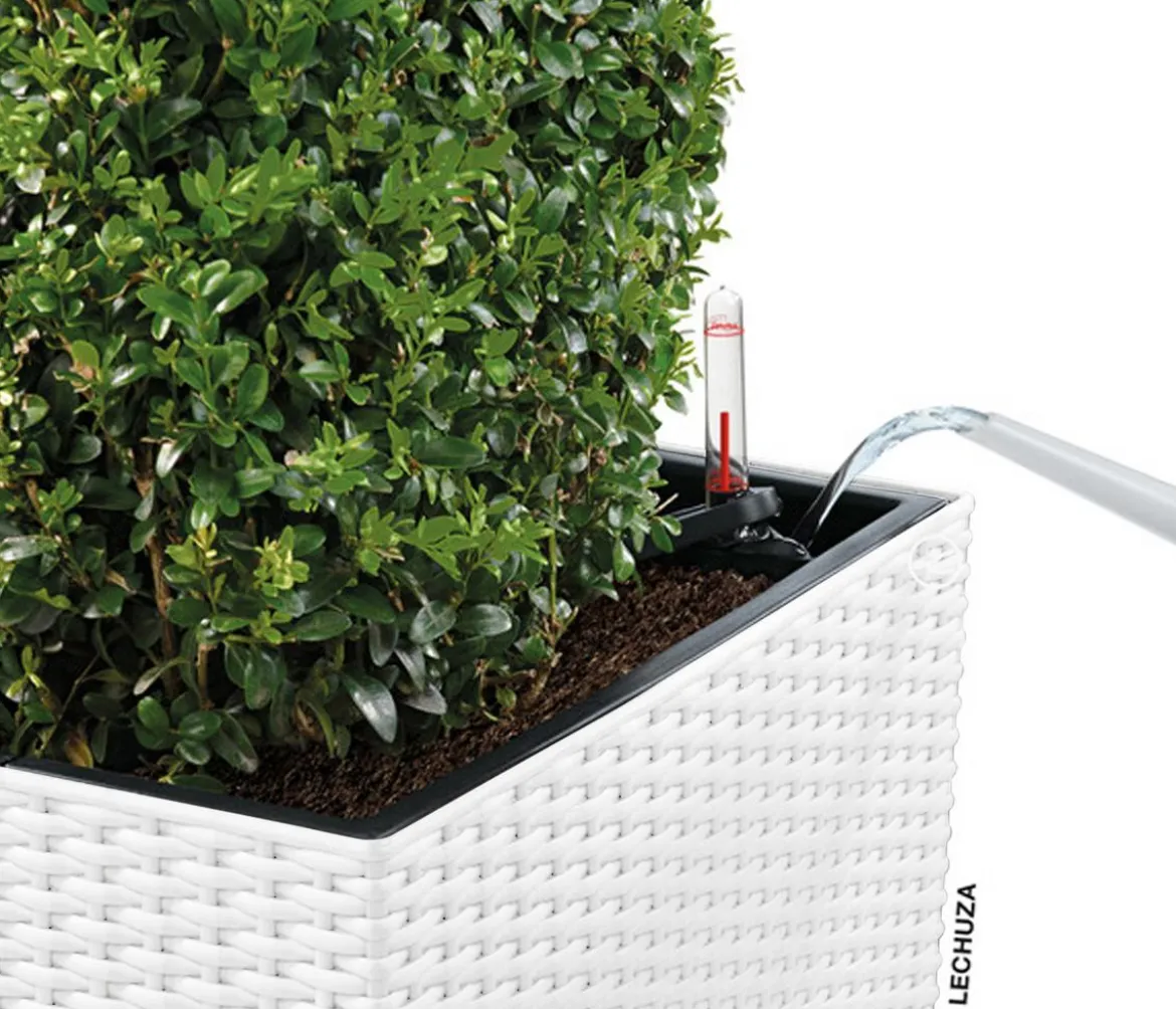 LECHUZA® Kunststoff-Topf Cube Cottage, quadratisch
