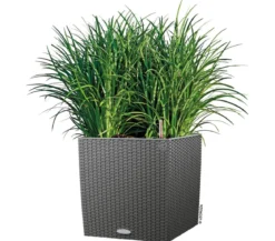 LECHUZA® Kunststoff-Topf Cube Cottage, quadratisch