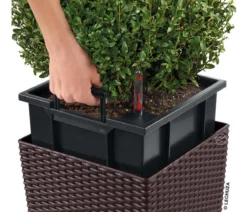 LECHUZA® Kunststoff-Topf Cube Cottage, quadratisch