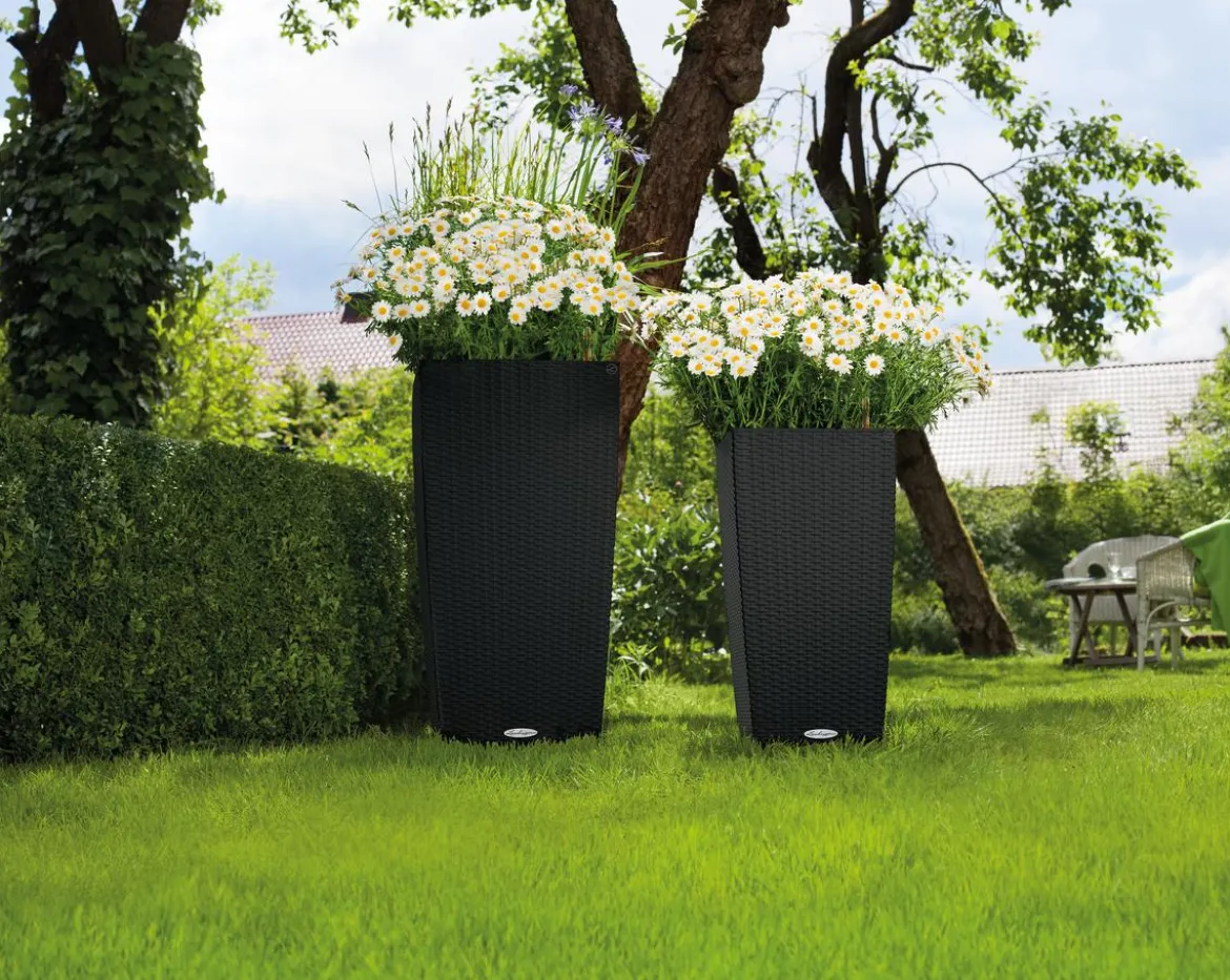 LECHUZA® Kunststoff-Topf Cubico Cottage, konisch