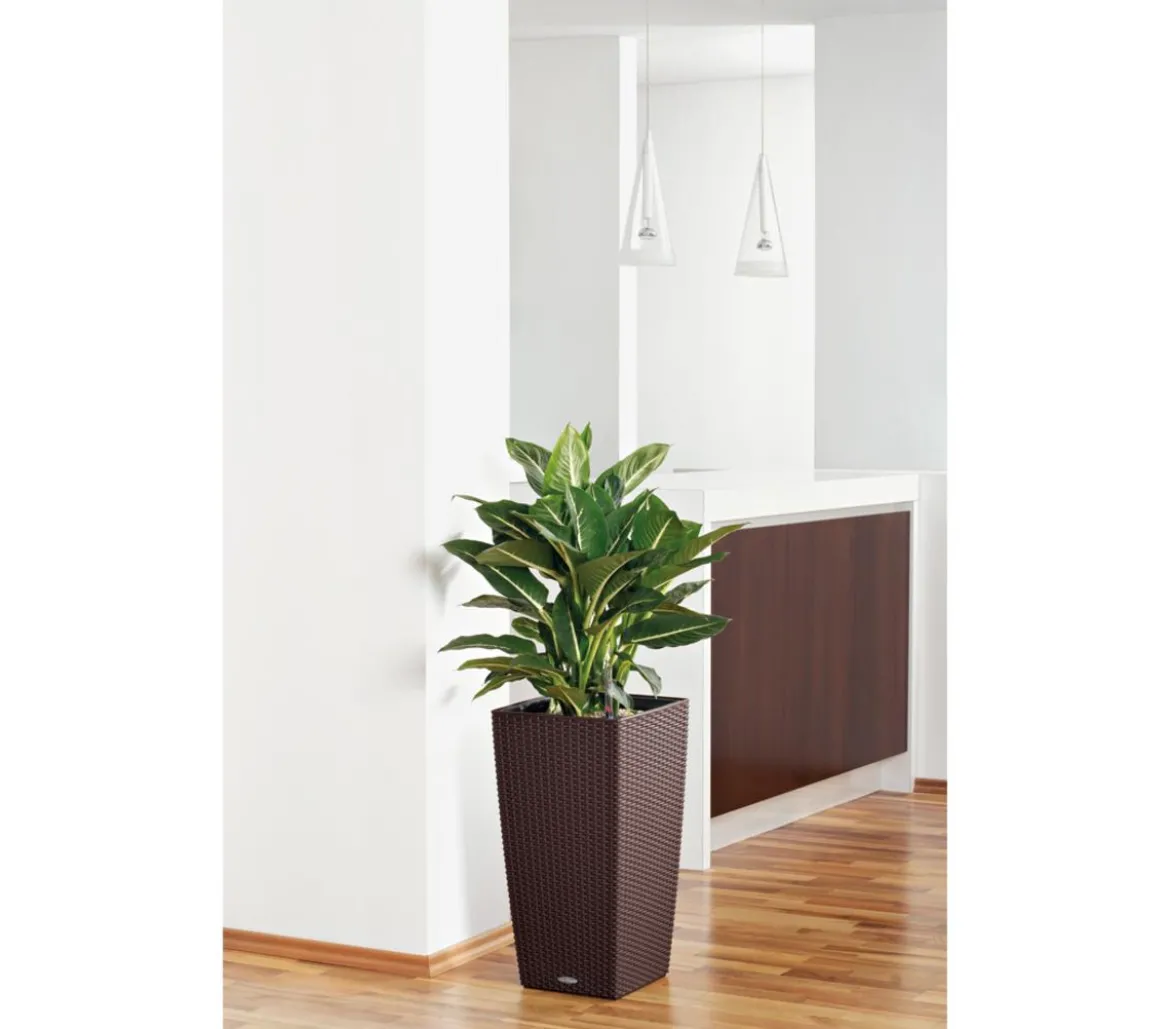 LECHUZA® Kunststoff-Topf Cubico Cottage, konisch