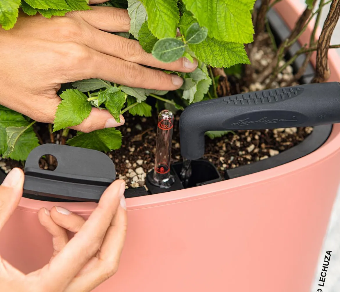 LECHUZA® Kunststoff-Topf PILA Color Planter, quadratisch, ca. B35/H33/T35 cm