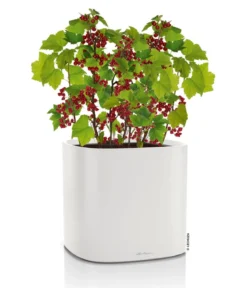 LECHUZA® Kunststoff-Topf PILA Color Planter, quadratisch, ca. B35/H33/T35 cm