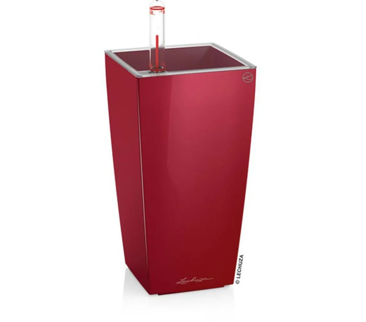 LECHUZA® MAXI/MINI-CUBI, All-in-One-Set, hochglanz