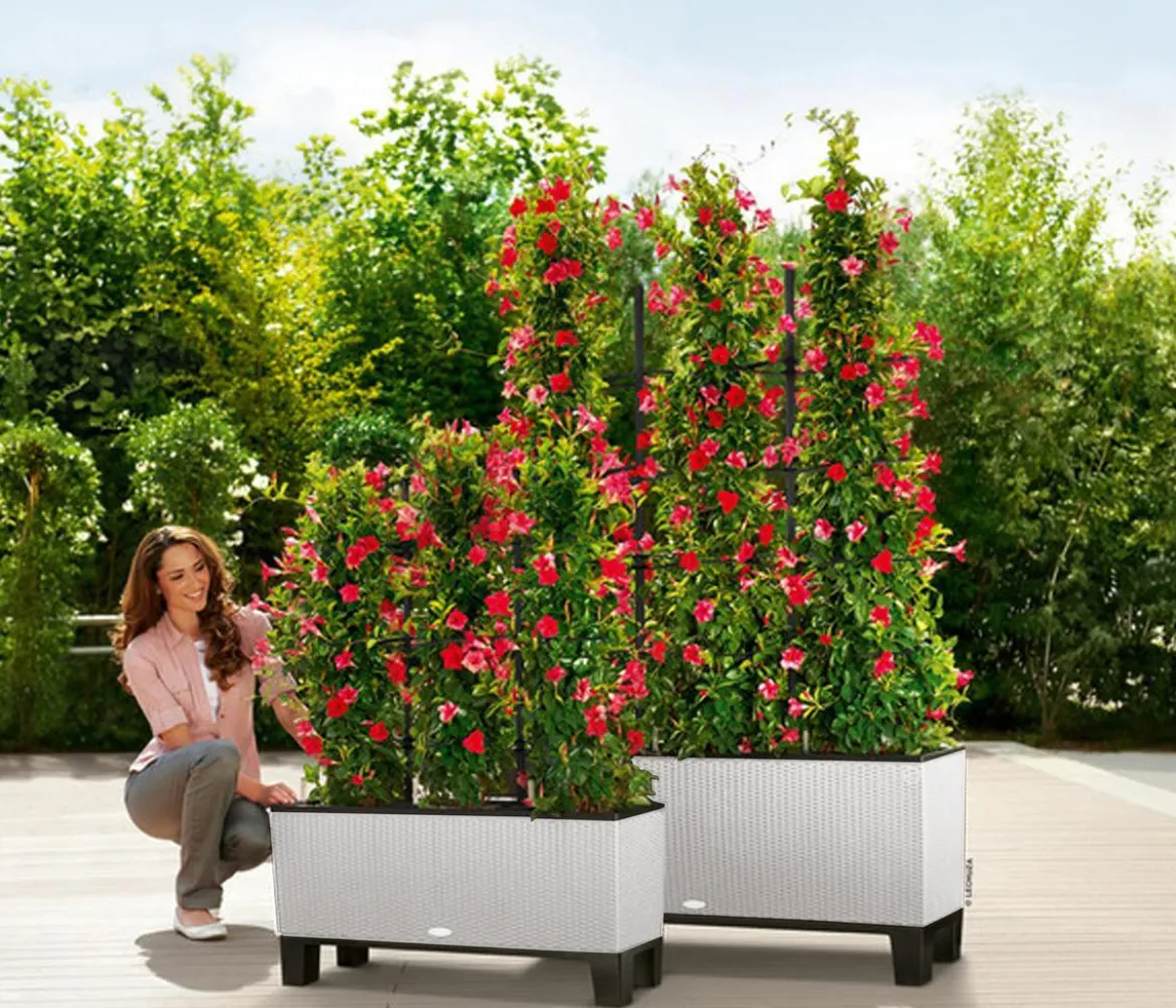 LECHUZA® Polyrattan-Kasten Trio Cottage, rechteckig