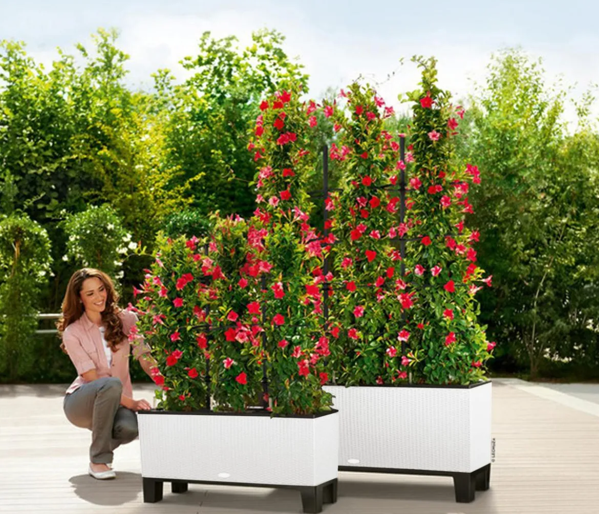 LECHUZA® Polyrattan-Kasten Trio Cottage, rechteckig