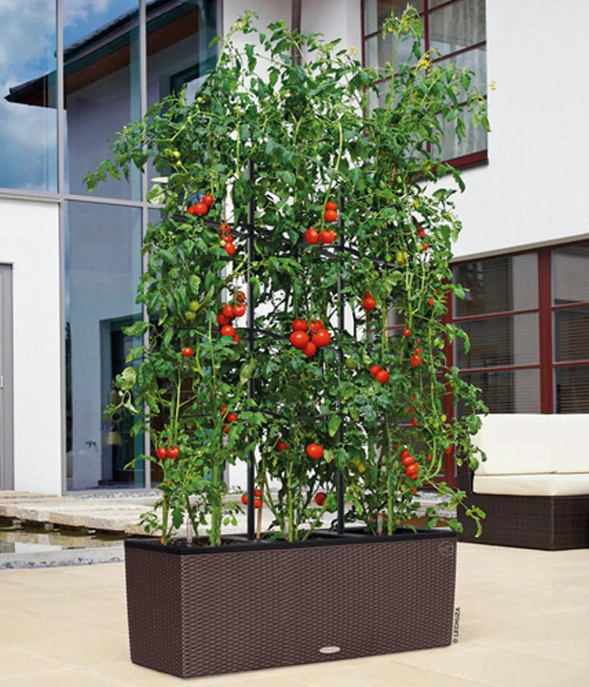 LECHUZA® Polyrattan-Kasten Trio Cottage, rechteckig