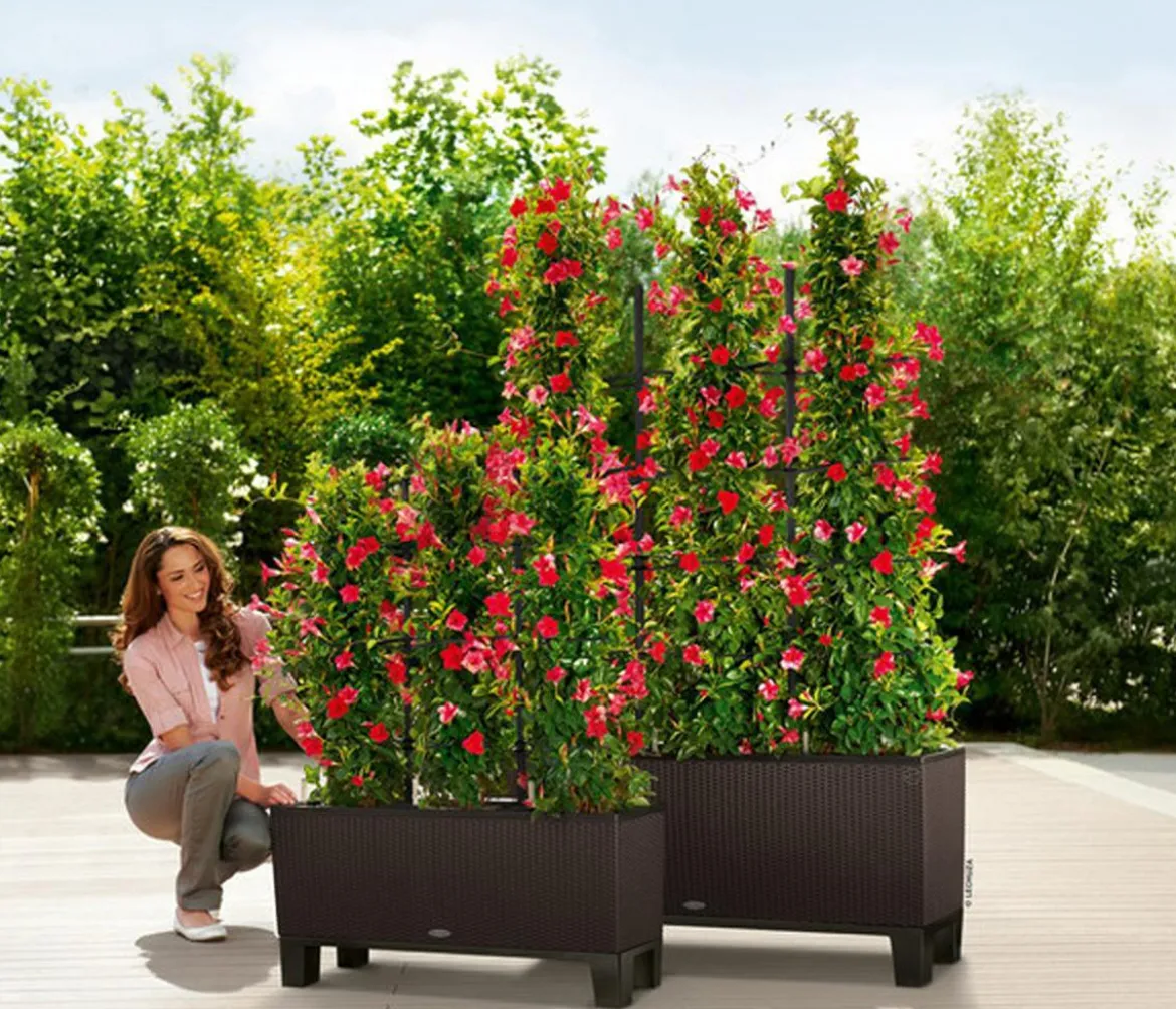 LECHUZA® Polyrattan-Kasten Trio Cottage, rechteckig