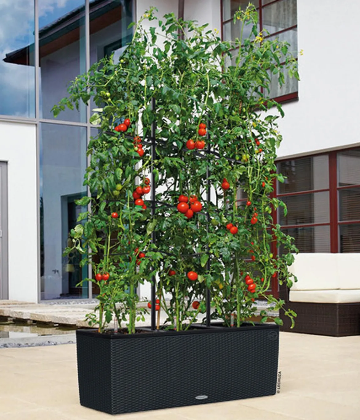 LECHUZA® Polyrattan-Kasten Trio Cottage, rechteckig
