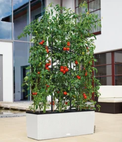 LECHUZA® Polyrattan-Kasten Trio Cottage, rechteckig