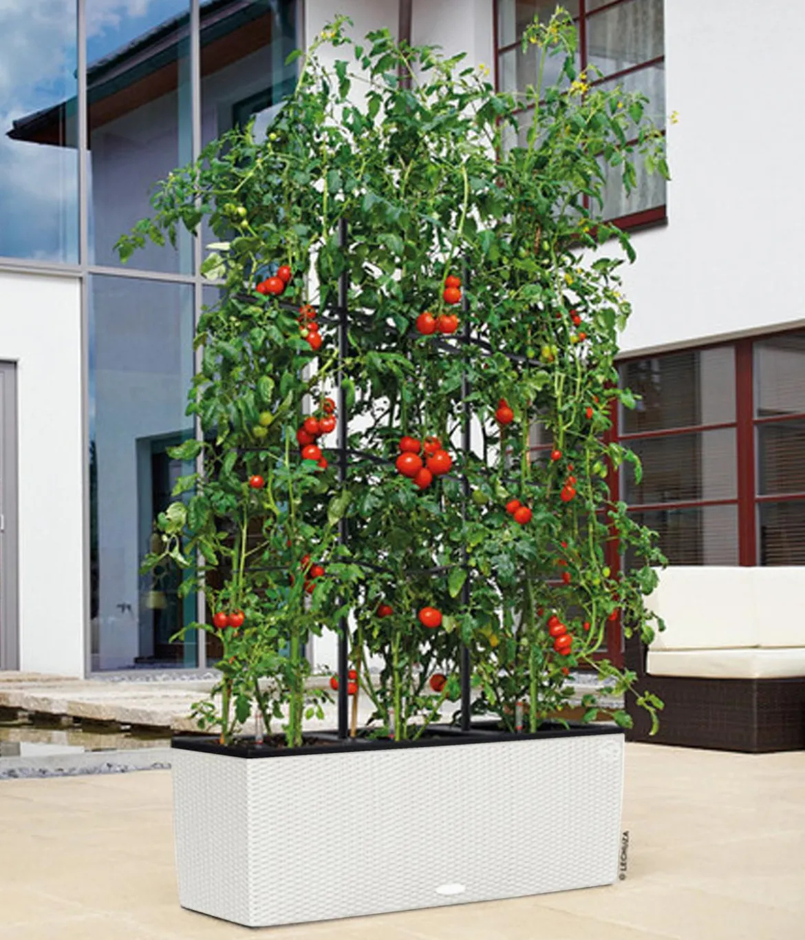 LECHUZA® Polyrattan-Kasten Trio Cottage, rechteckig
