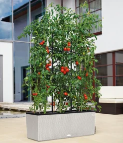 LECHUZA® Polyrattan-Kasten Trio Cottage, rechteckig