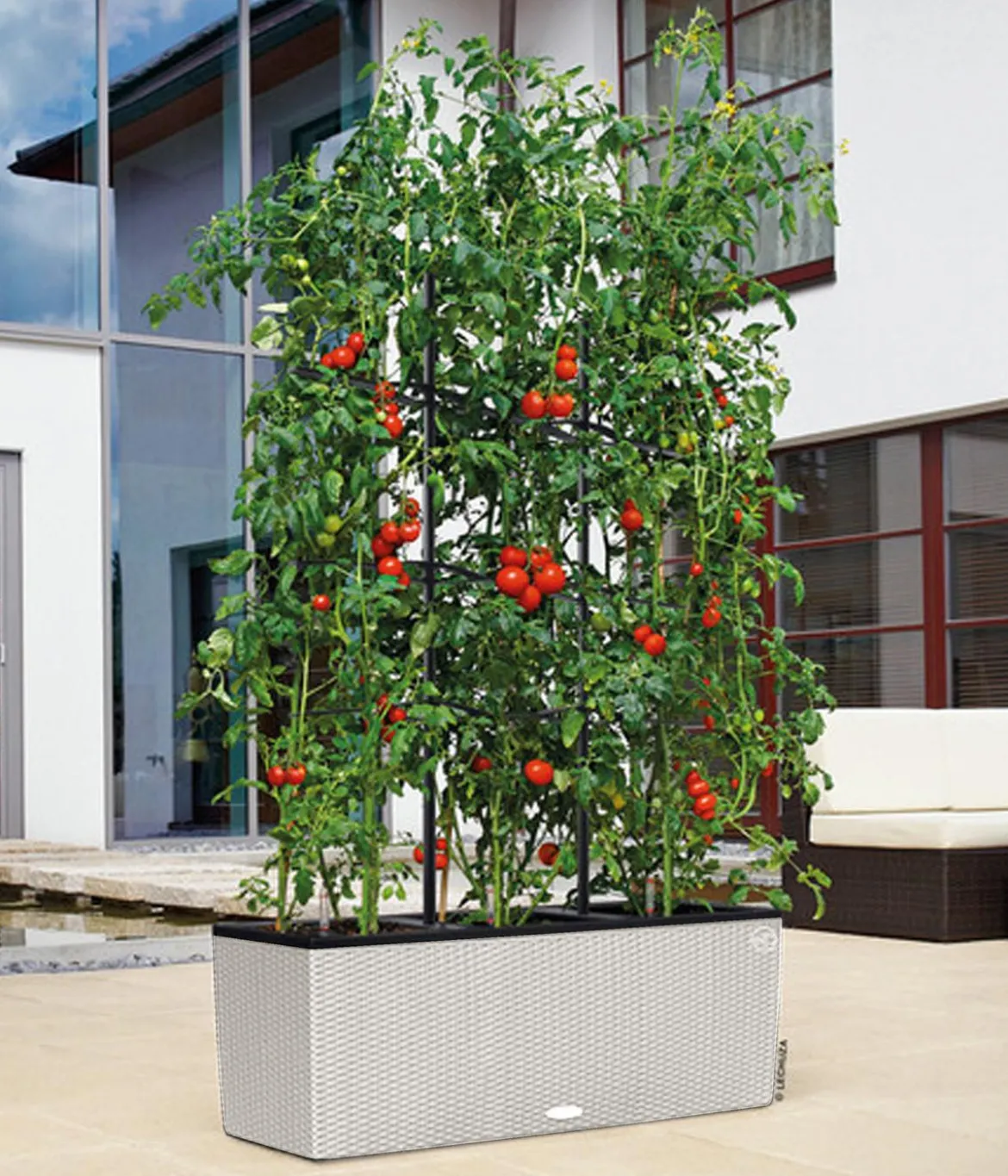 LECHUZA® Polyrattan-Kasten Trio Cottage, rechteckig